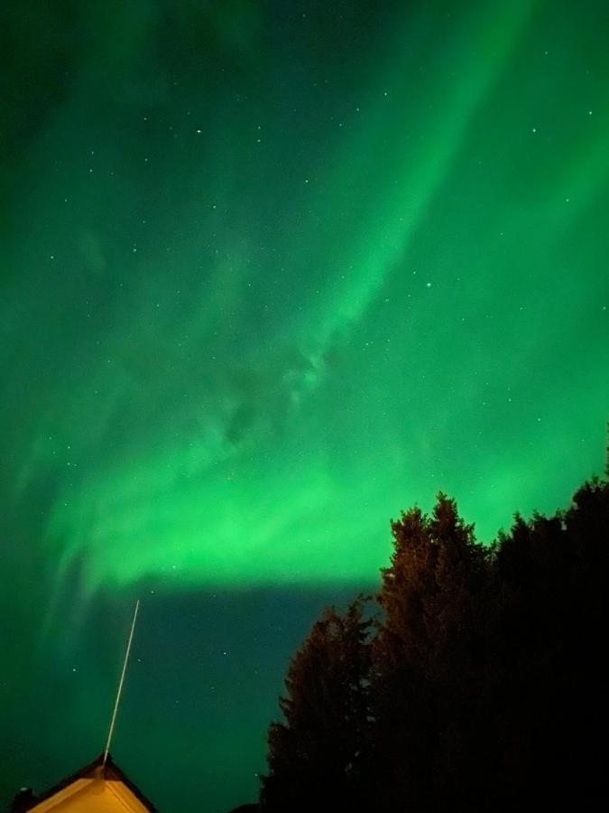 Lyngen, Mackay Appartment, Lyngen Lyngseidet Zewnętrze zdjęcie
