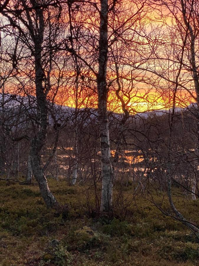 Lyngen, Mackay Appartment, Lyngen Lyngseidet Zewnętrze zdjęcie