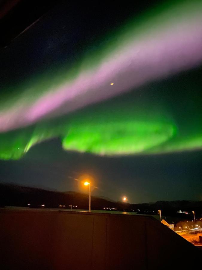 Lyngen, Mackay Appartment, Lyngen Lyngseidet Zewnętrze zdjęcie