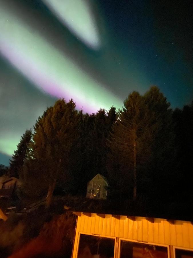 Lyngen, Mackay Appartment, Lyngen Lyngseidet Zewnętrze zdjęcie